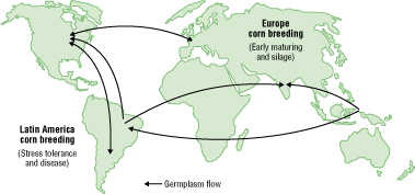 map of global research and breeding facilities
